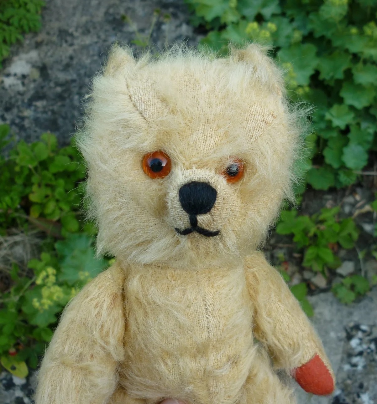 画像3: 1940〜1950年代頃 テディベア（おそらくフランス製） 23cm 　 (ビンテージ）