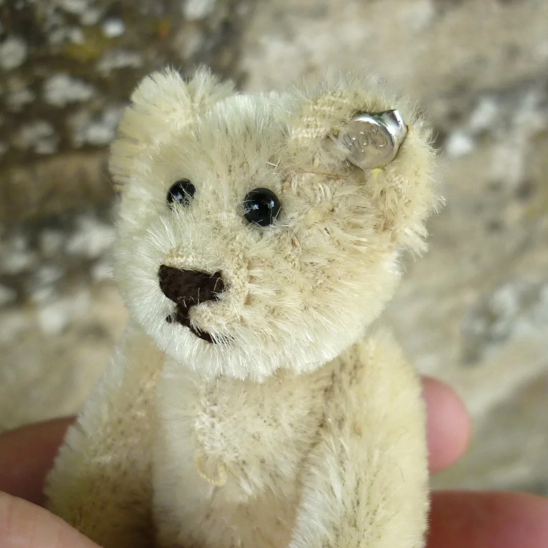 画像4: エクセレントコンデション☆ 9cm Steiff White Original Teddy  推定1959年〜1964年頃（ビンテージ）