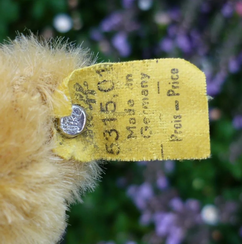画像8: ID全てあり☆ Steiff Blond Original Teddy 15cm 推定1959年-1966年頃　（ビンテージ）