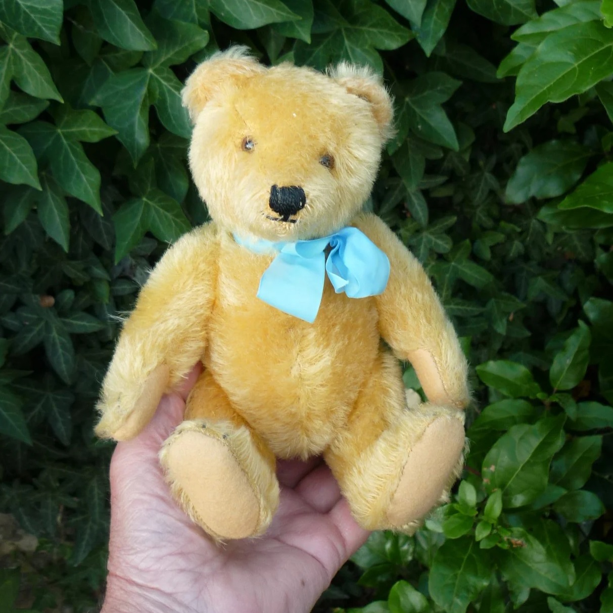 画像6: 大変良い状態です☆ Steiff Blond Original Teddy 22cm 推定1960年代　（ビンテージ）