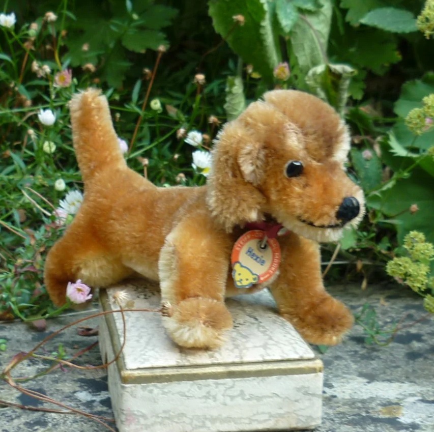 画像2: ID全てあり☆ 14cm Steiff Hexie Dachshund 1954-1967年頃　（ビンテージ）