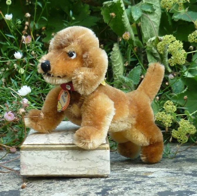 画像1: ID全てあり☆ 14cm Steiff Hexie Dachshund 1954-1967年頃　（ビンテージ）