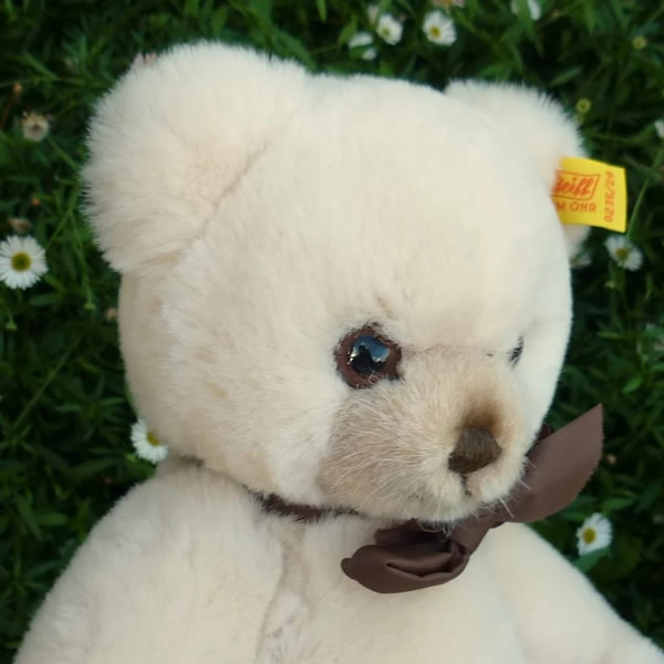 画像3: Steiff Petsy Teddy Bear cream 1989年〜1990年頃  28cm